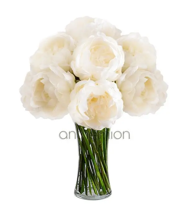 7 White Peonies