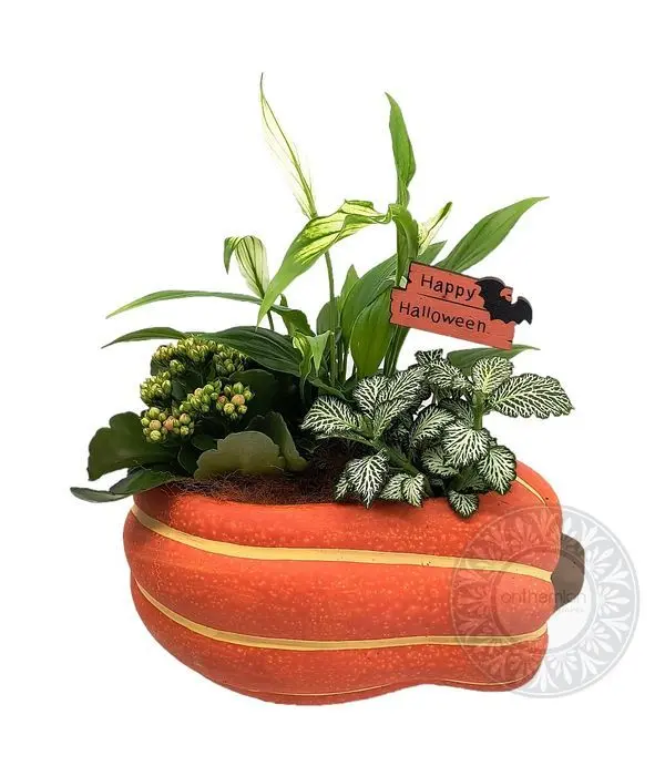 Autumn composition with plants in a ceramic pumpkin