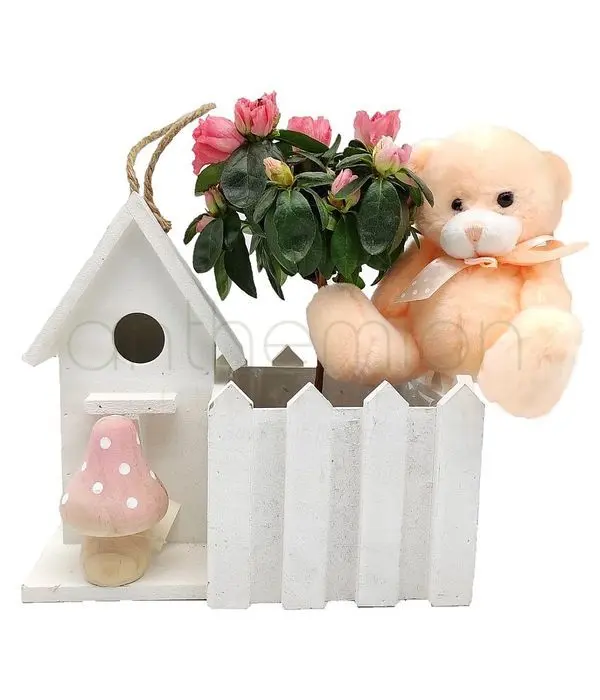 House plant and teddy bear