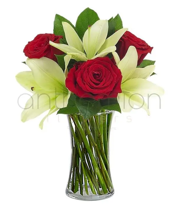 White oriental lilies with red roses (Basic)