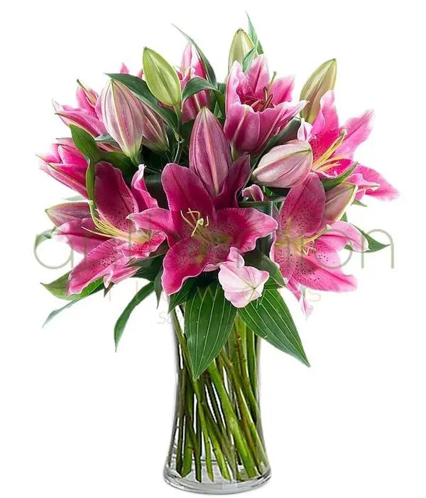 Fresh bouquet in pink shades (Basic)