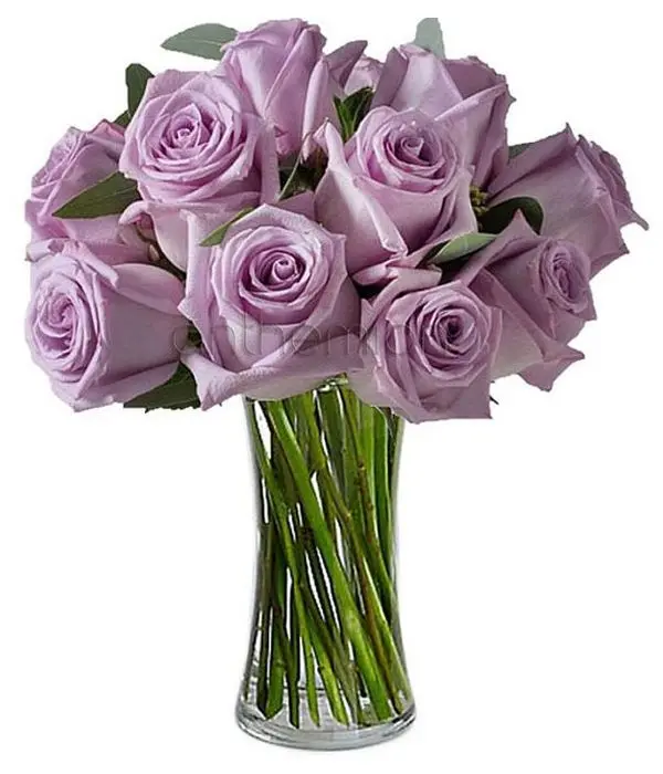 12 Lilac Roses in a bouquet