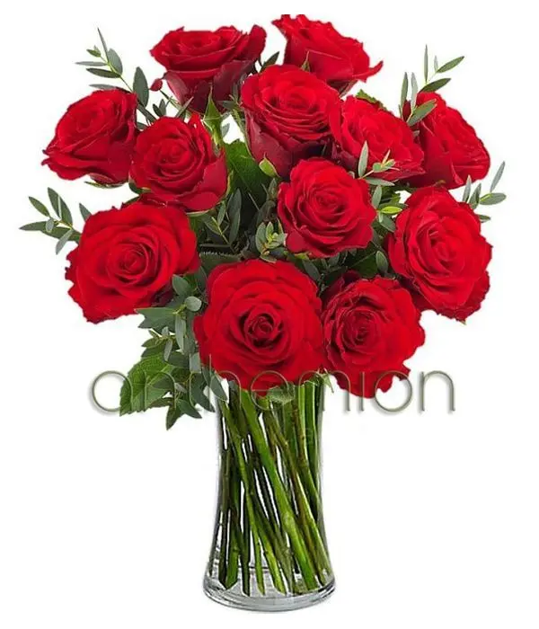 Bouquet of 12 red roses (Basic)