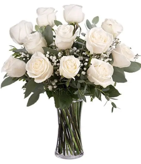 Bouquet of 12 white roses