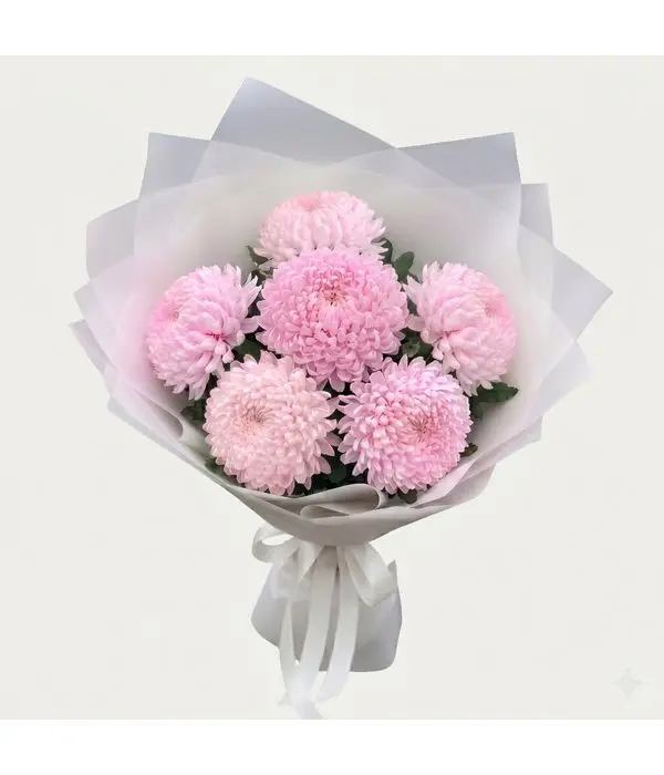 Elegant Pale Pink Chrysanthemum Bouquet in Minimalist White Wrap