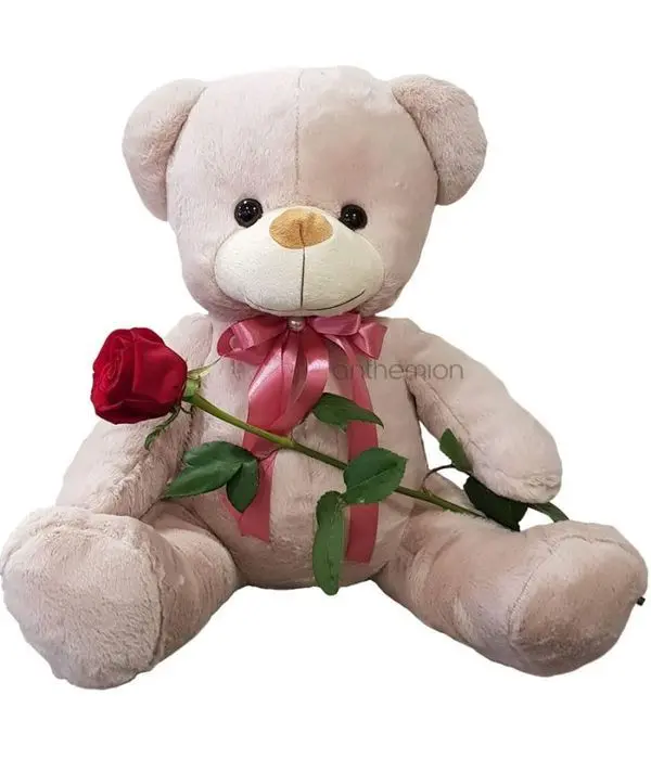 Large teddy bear 60 cm with a red rose
