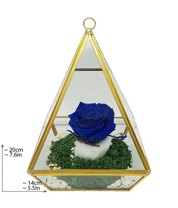 Blue forever rose in pyramid (XL size)