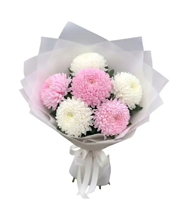 Elegant Pink and White Chrysanthemum Bouquet (6 Stems)