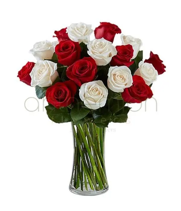 Vasia with red and white roses