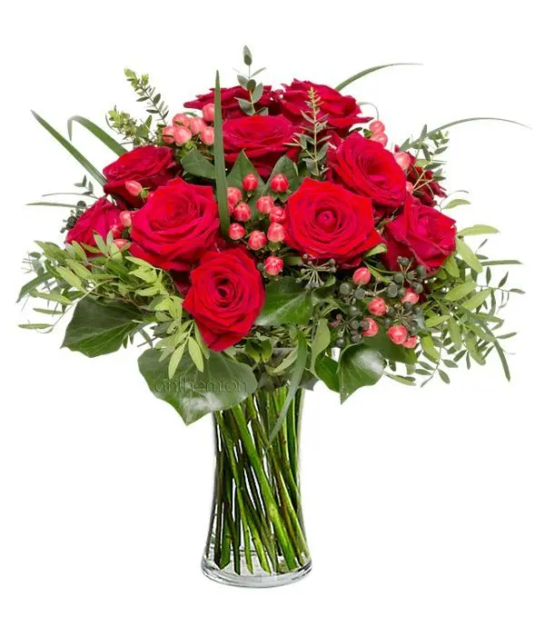 Special offer | Magic red
