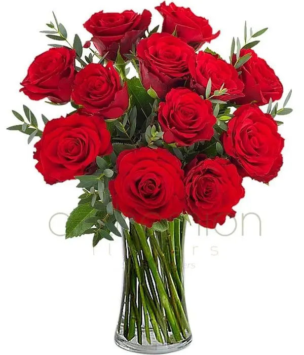 Super offer | 12 luxury red roses