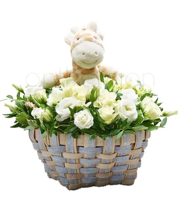 White flowers in basket and plush toy