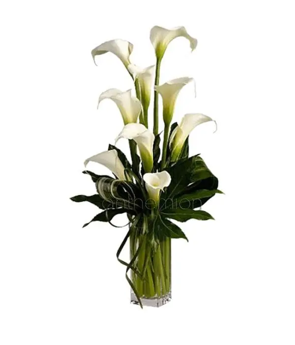 Send white callas | VASE IS INCLUDED