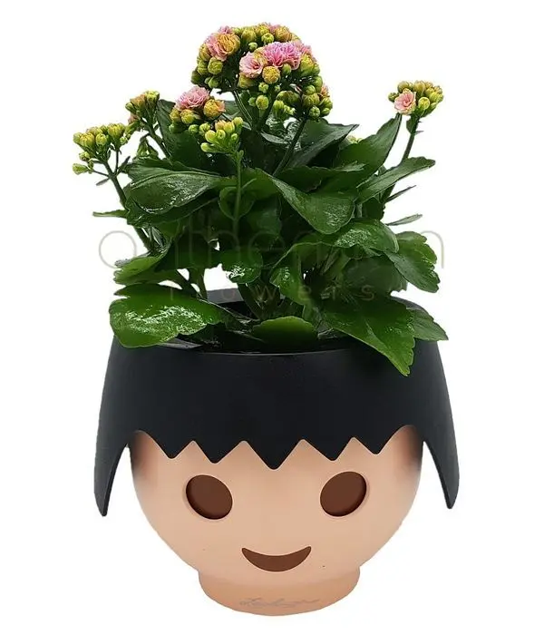 Plant in playmobil self watering pot