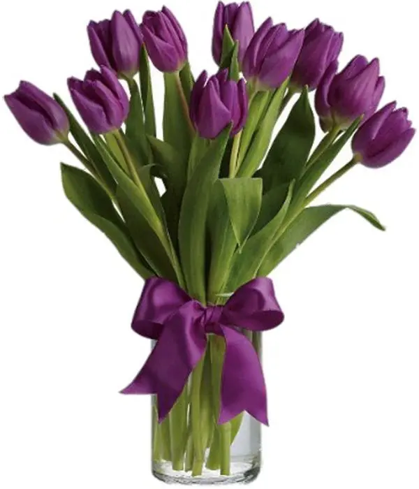 Order purple tulips in vase