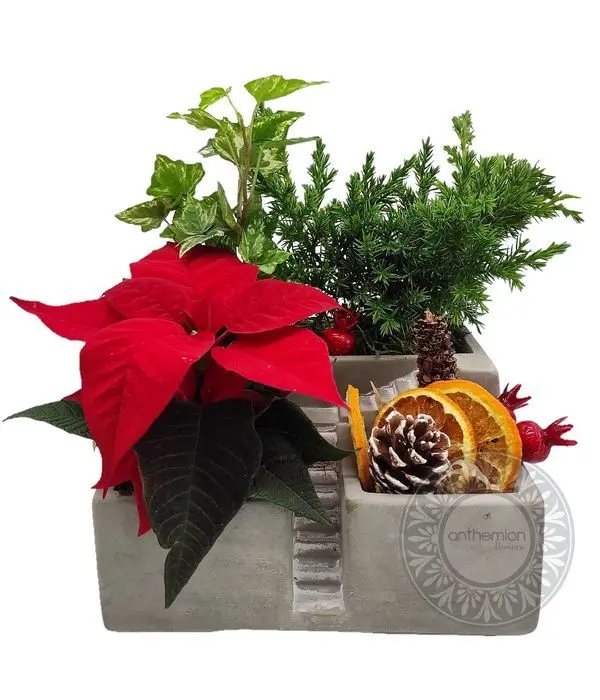 Concrete container with plants