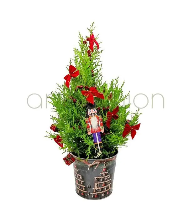 Ttree in metallic pot