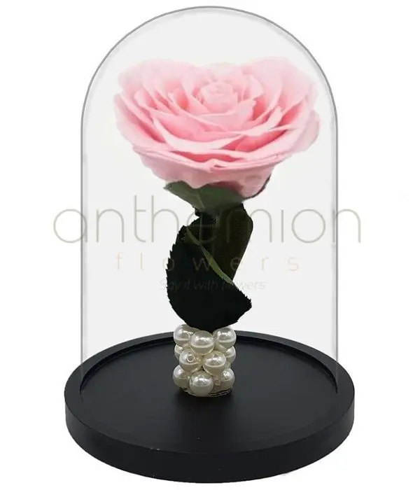 Pink Forever Rose (Big size)