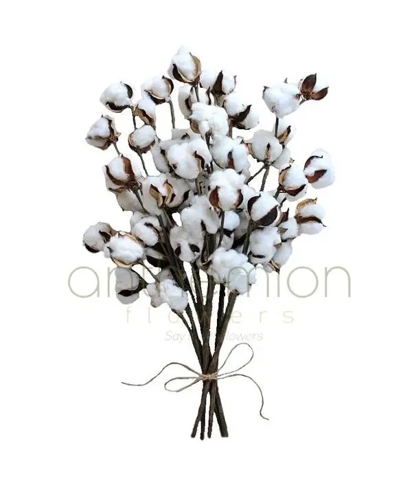 Cotton branch bouquet