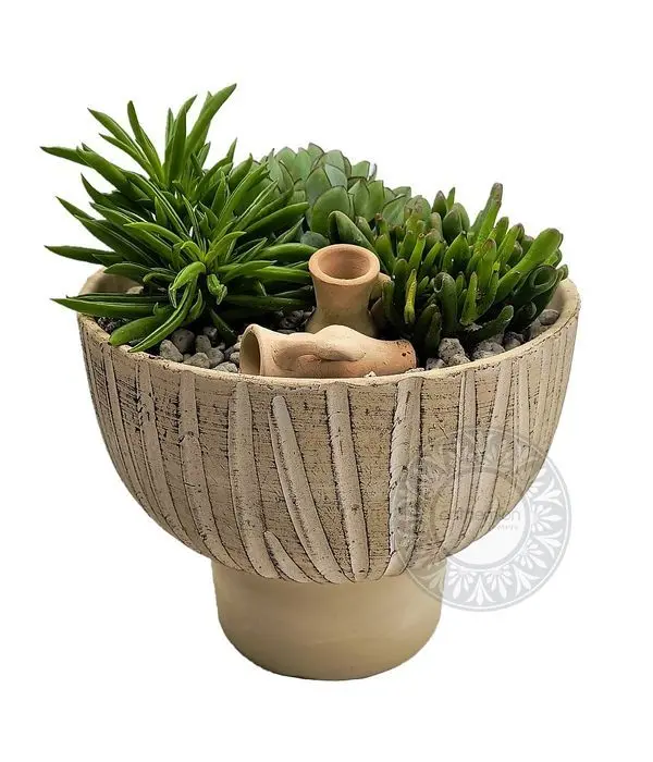 Ceramic succulent arrangement