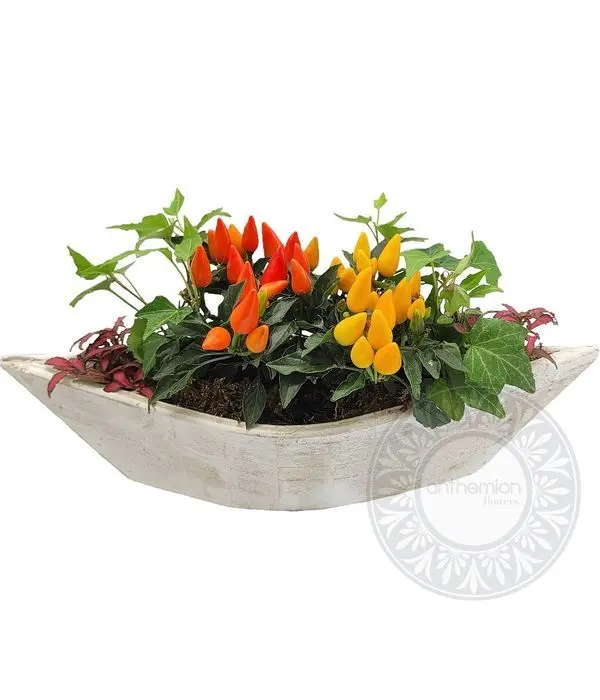 Wooden gondola full of plants