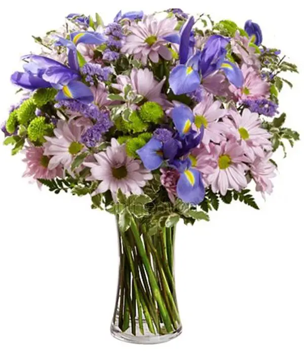 Free Spirit with irises and chrysanthemums