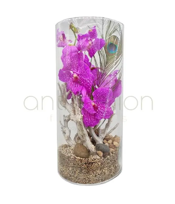 Orchid vanda in a tall glass vase