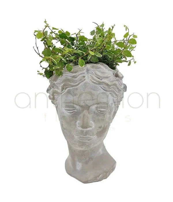 Decorative concrete head with plant