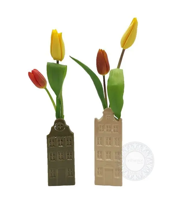 Duo Adams house with tulips