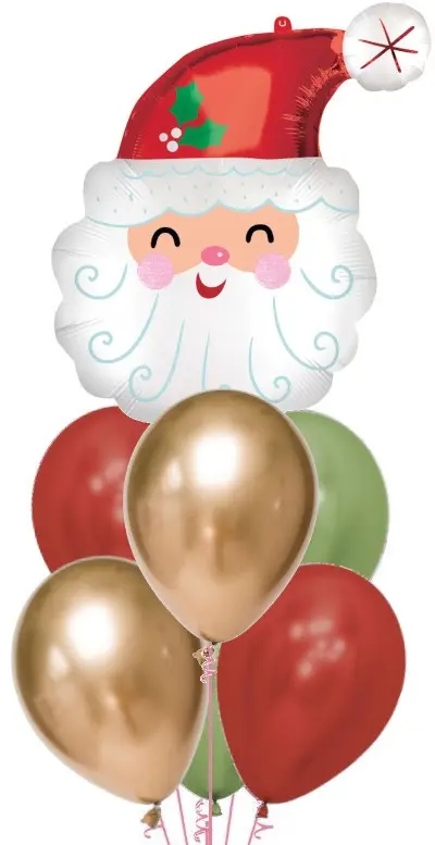 Santa + 6 Christmas Bouquet