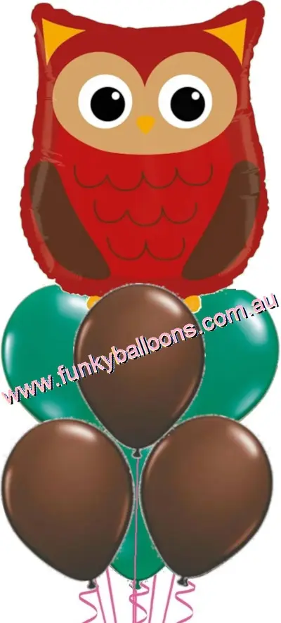 Woodland Owl Balloon Bouquet