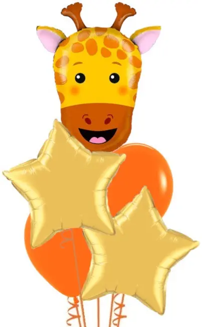 Giraffe + Stars Bouquet