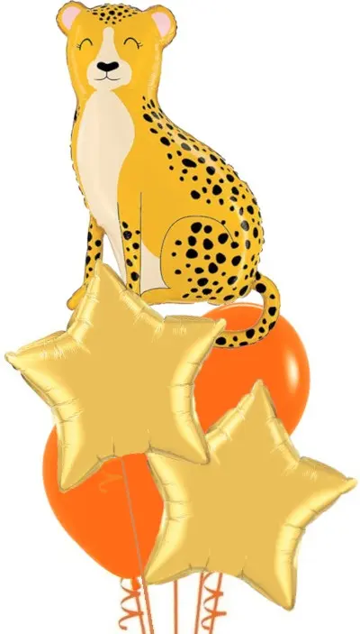 Cheetah + Stars Bouquet