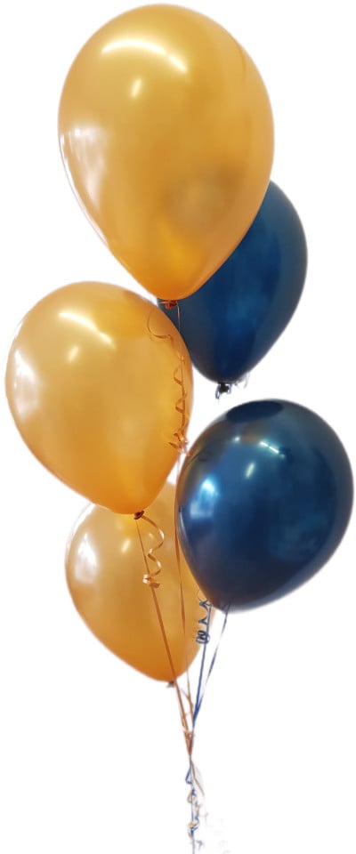 5 Balloon Floor Bunch
(Float Time 3+ Days)