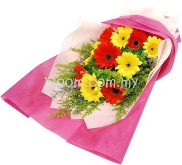 Gerbera Hand Bouquet 02 (15 Stalks Mix Colour Gerbera)