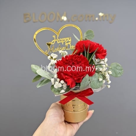 Mothers Day Promotion 03