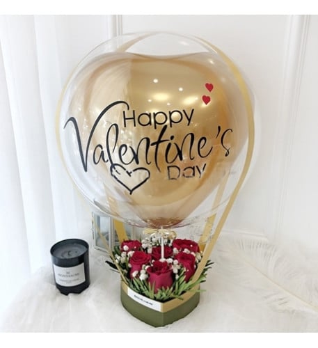 Vday Hot Air Balloon 02