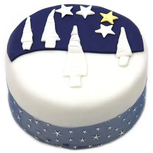 Christmas Classic Cake