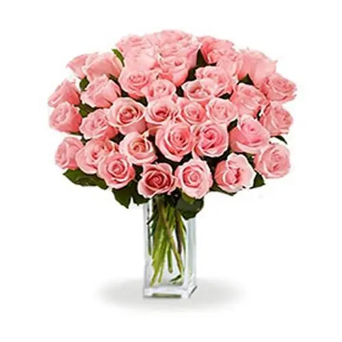 36 Long Stem Pink Roses