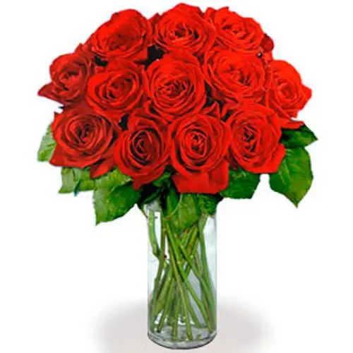 12 Extra Long Stemmed Red Roses