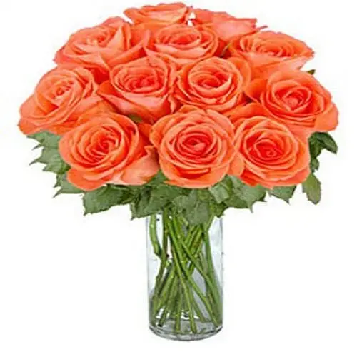 12 Long Stemmed Orange Roses