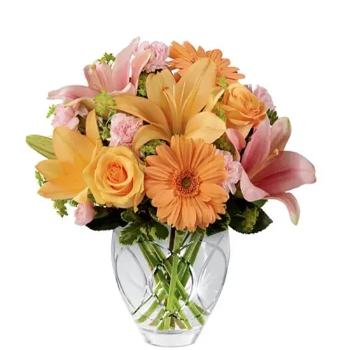 Brighten Your Day