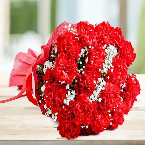 Red Carnation