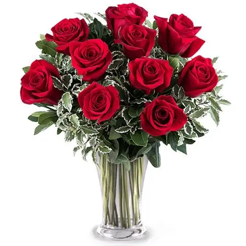 10 Sincere Red Roses