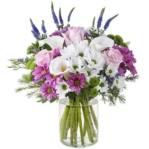 Chrysanthemums and Roses