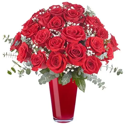 24 Lavish Red Roses