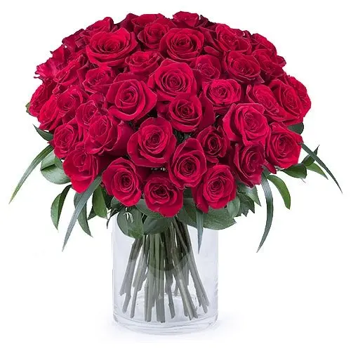 50 Shades of Red Roses