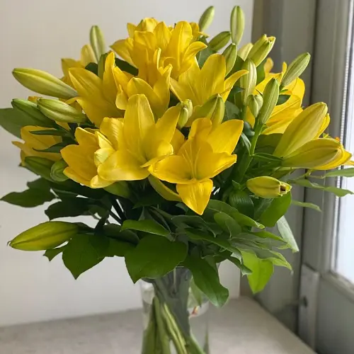 Yellow Lilies