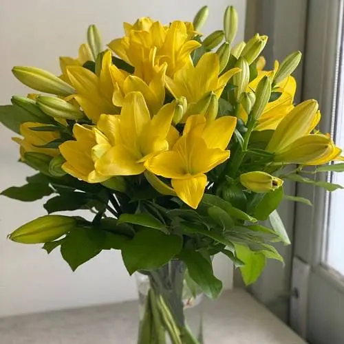Yellow Lilies