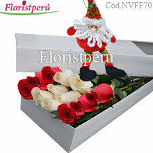 Box with 12 red and white roses + christmas doll